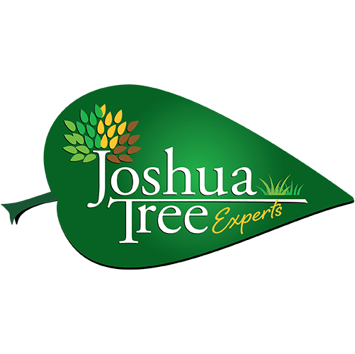 Joshua Tree Experts Franchise Radio Show Interview